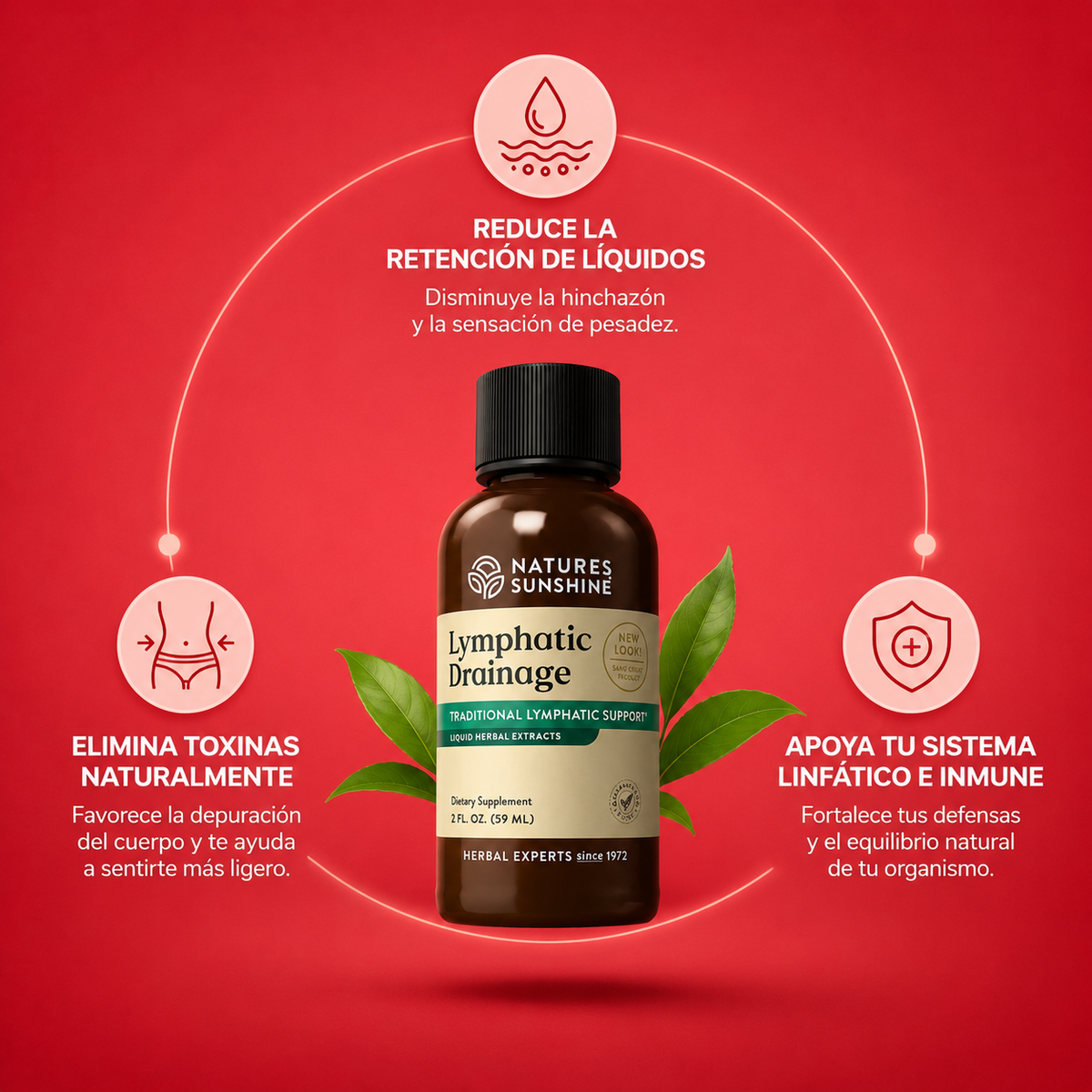 Pack de 3 unidades de Drenaje Linfatico para 90 dias con envio gratis Colombia